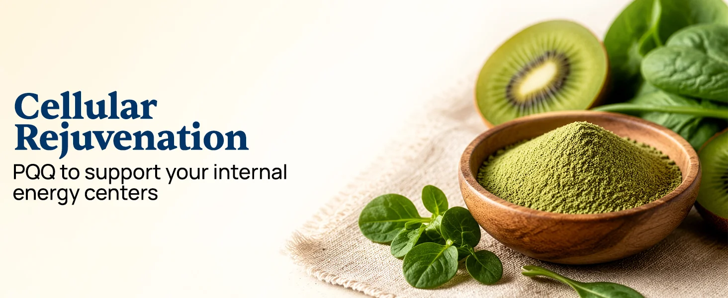 PQQ — cellular rejuvenation, 20mg
