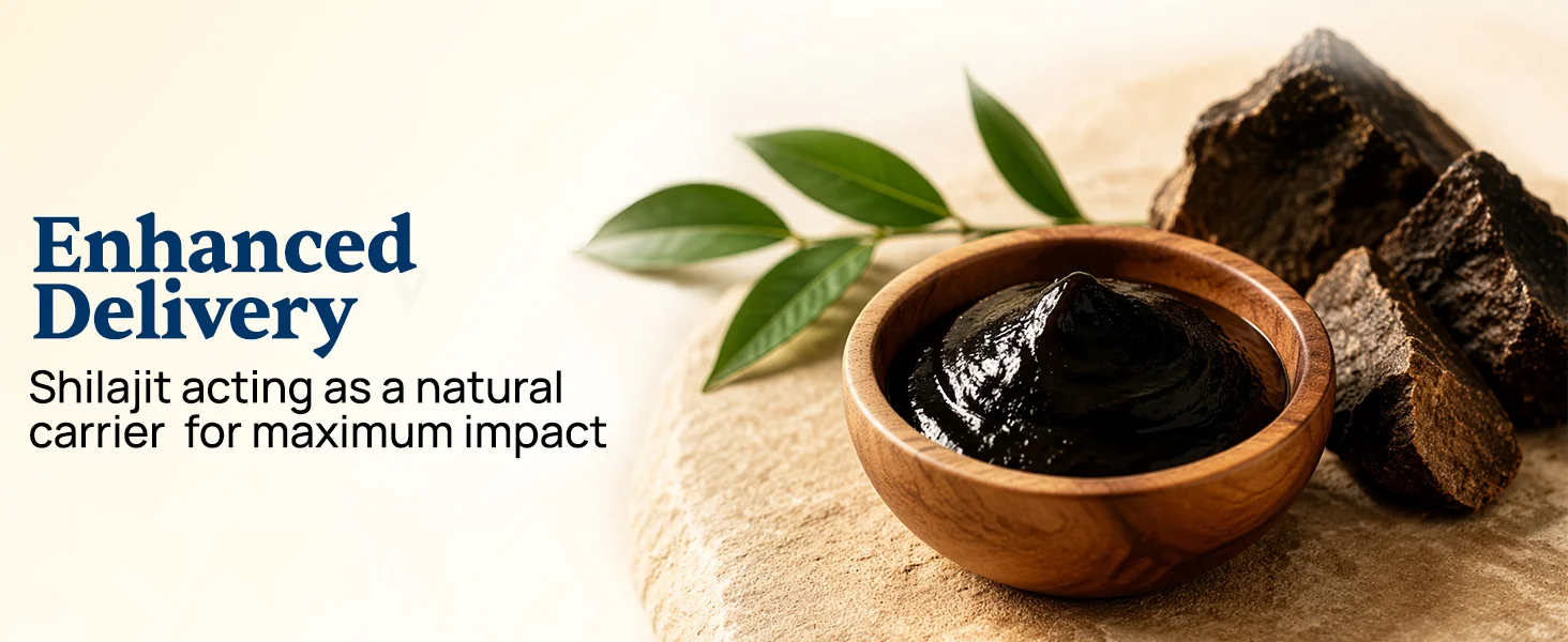Shilajit — enhanced delivery, 250mg